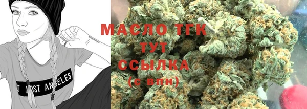 спиды Бикин