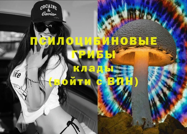 первитин Покачи