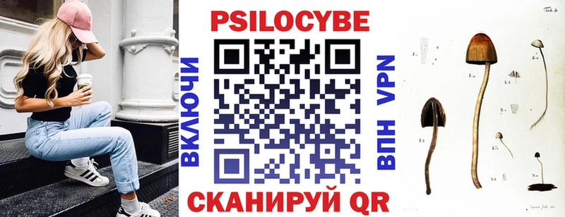 shop состав  Заринск  Псилоцибиновые грибы GOLDEN TEACHER 